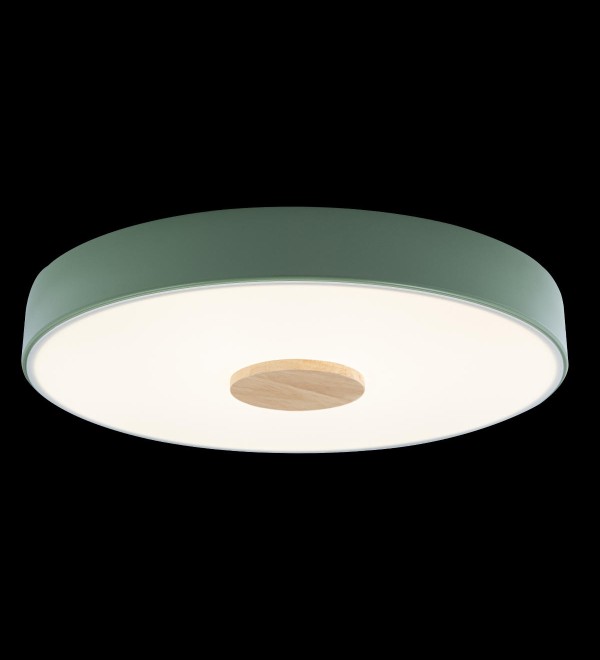 Потолочный светильник LOFT IT Axel 10003/24 Green
