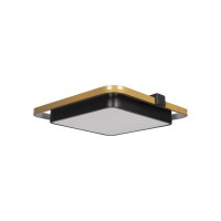 Потолочный светильник LOFT IT Mike 10171