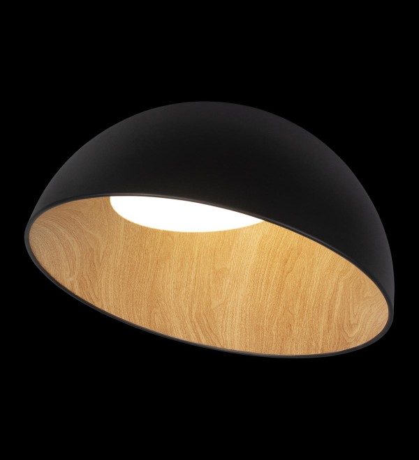 Потолочный светильник LOFT IT Egg 10197/500 Black