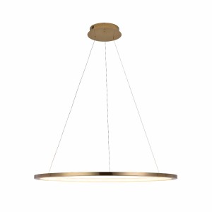 Подвесной светильник LOFT IT Ring 10014L