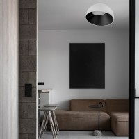 Потолочный светильник LOFT IT Egg 10197/500 WB