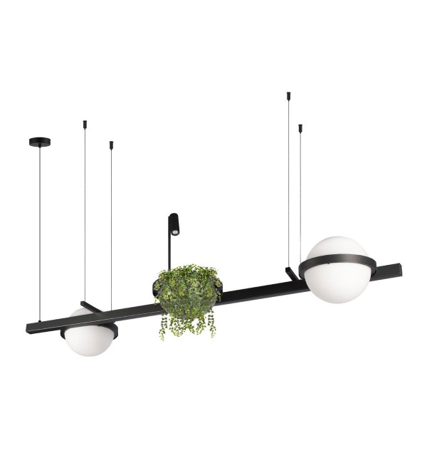 Подвесной светильник LOFT IT Jardin 10121/D