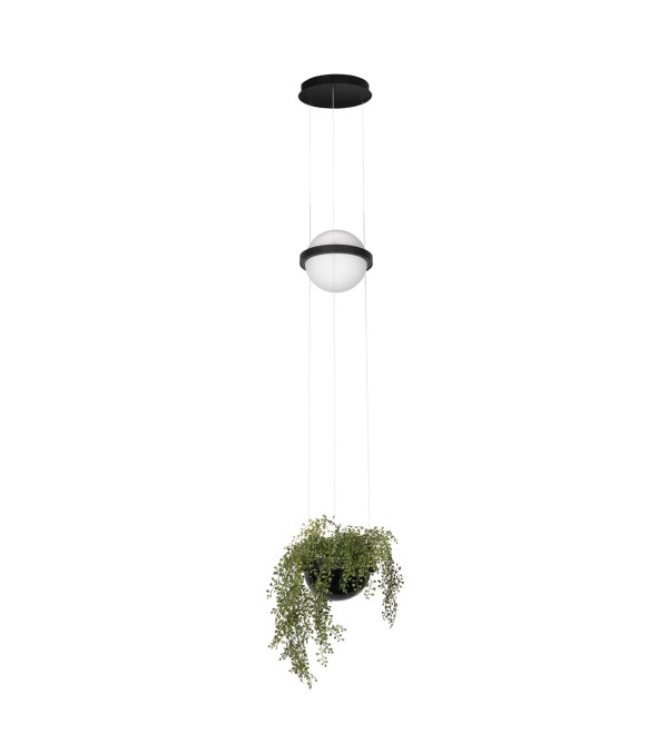 Подвесной светильник LOFT IT Jardin 10121/B