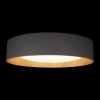 Потолочный светильник LOFT IT Coin 10202 Grey