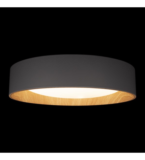 Потолочный светильник LOFT IT Coin 10202 Grey