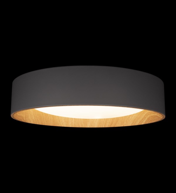 Потолочный светильник LOFT IT Coin 10202 Grey