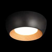 Потолочный светильник LOFT IT Folk 10255/350 Black