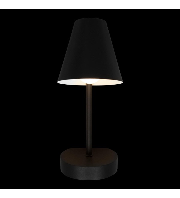 Настенный светильник LOFT IT Shelf 10216/1W Black
