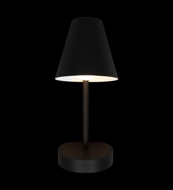 Настенный светильник LOFT IT Shelf 10216/1W Black