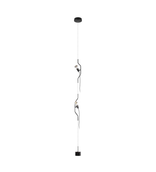 Подвесной светильник LOFT IT Parentesi 10346/2 Black