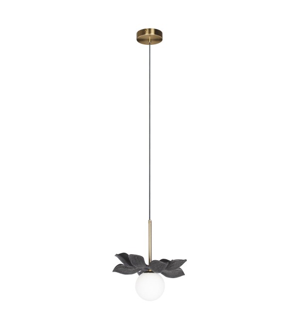 Подвесной светильник LOFT IT Monro 10213/B Black