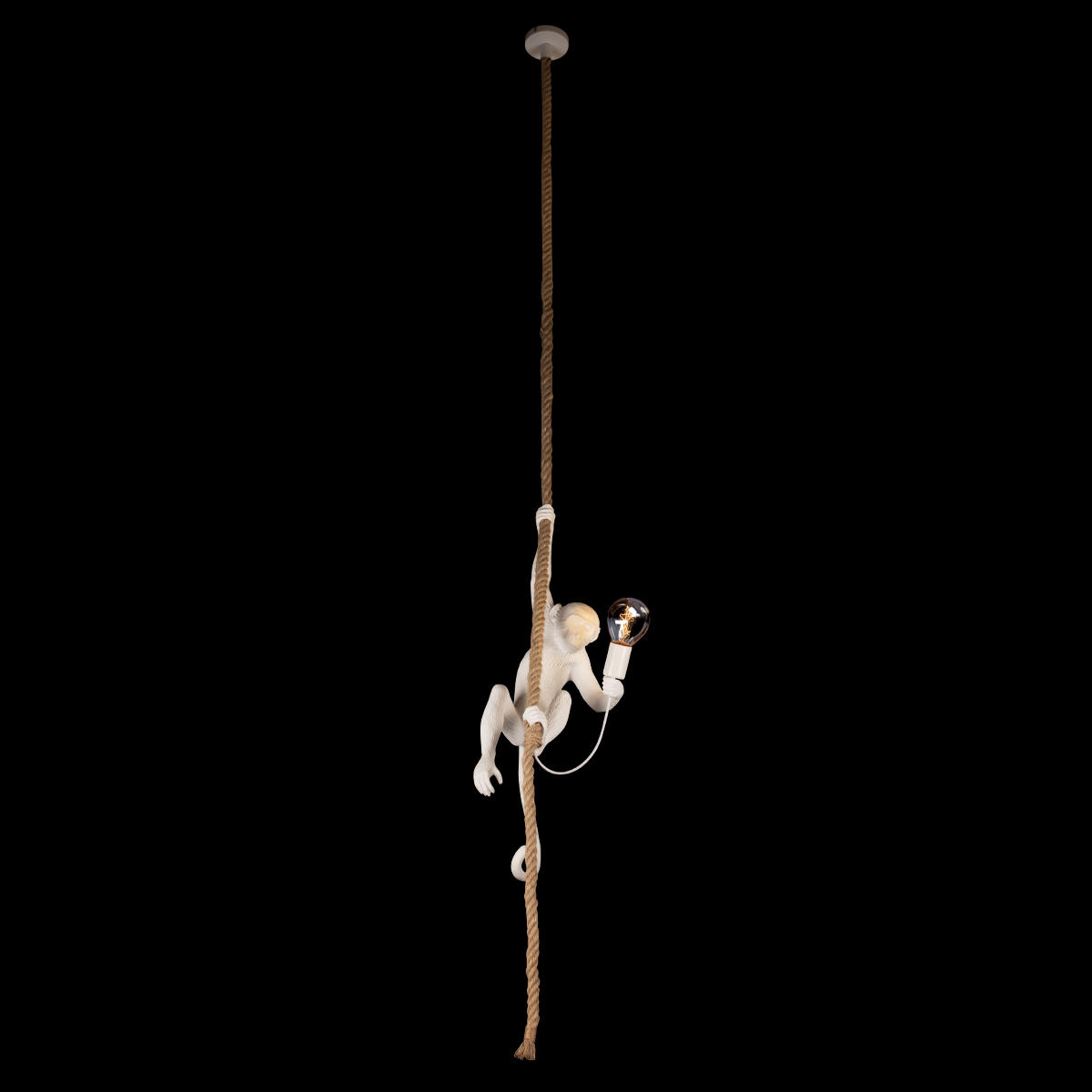 Подвесной светильник LOFT IT Monkey 10314P