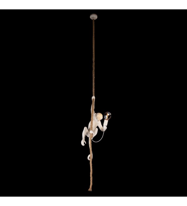 Подвесной светильник LOFT IT Monkey 10314P