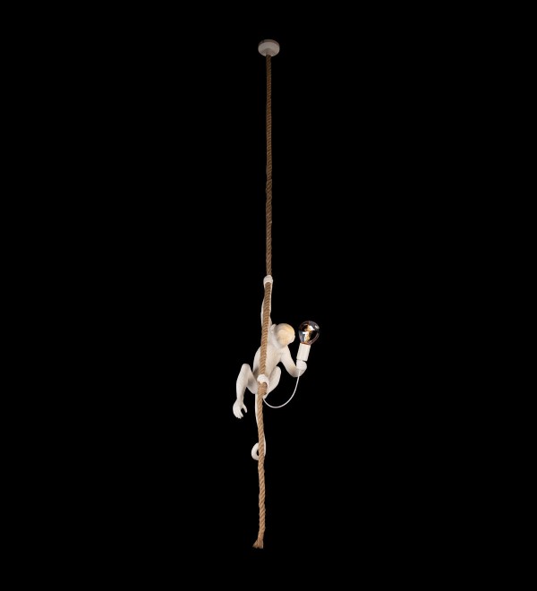 Подвесной светильник LOFT IT Monkey 10314P