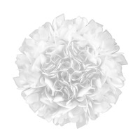 Потолочный светильник LOFT IT Clizia 10594/780C White