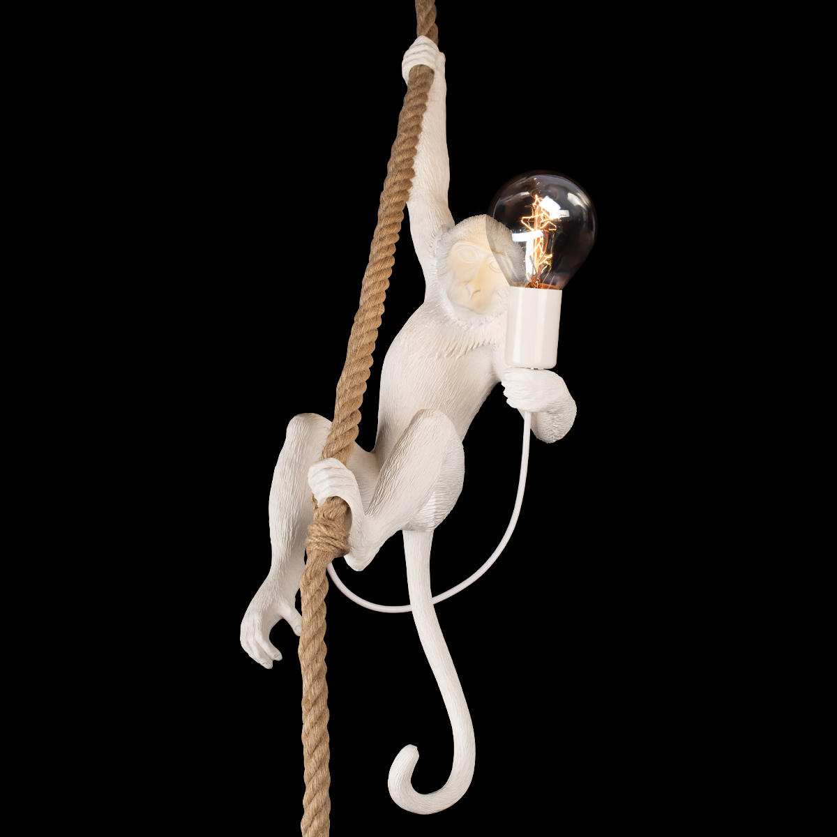 Подвесной светильник LOFT IT Monkey 10314P