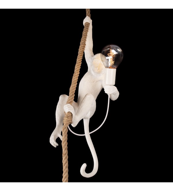 Подвесной светильник LOFT IT Monkey 10314P