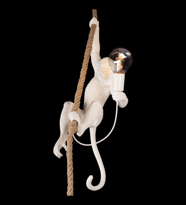 Подвесной светильник LOFT IT Monkey 10314P