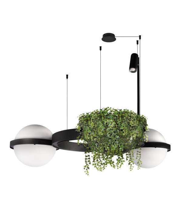 Подвесной светильник LOFT IT Jardin 10121/2
