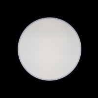 Потолочный светильник LOFT IT Axel 10002/24 White