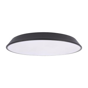 Потолочный светильник LOFT IT Brim 10226 Black