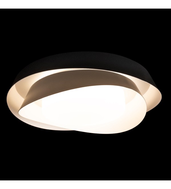 Потолочный светильник LOFT IT Petale 10256 Black
