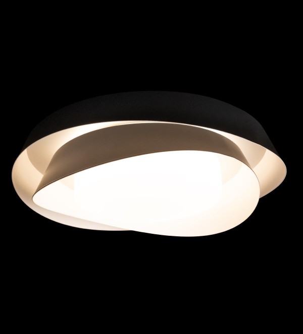 Потолочный светильник LOFT IT Petale 10256 Black