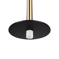 Подвесной светильник LOFT IT Reed 10358/830 Disk AB