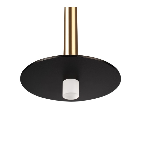 Подвесной светильник LOFT IT Reed 10358/830 Disk AB
