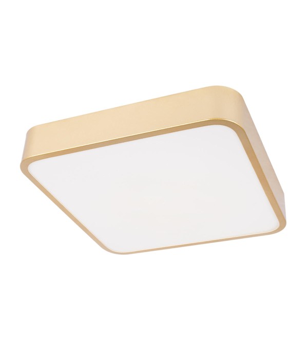 Потолочный светильник LOFT IT Flims 10228/C