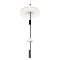 Подвесной светильник LOFT IT Flamingo 10598C