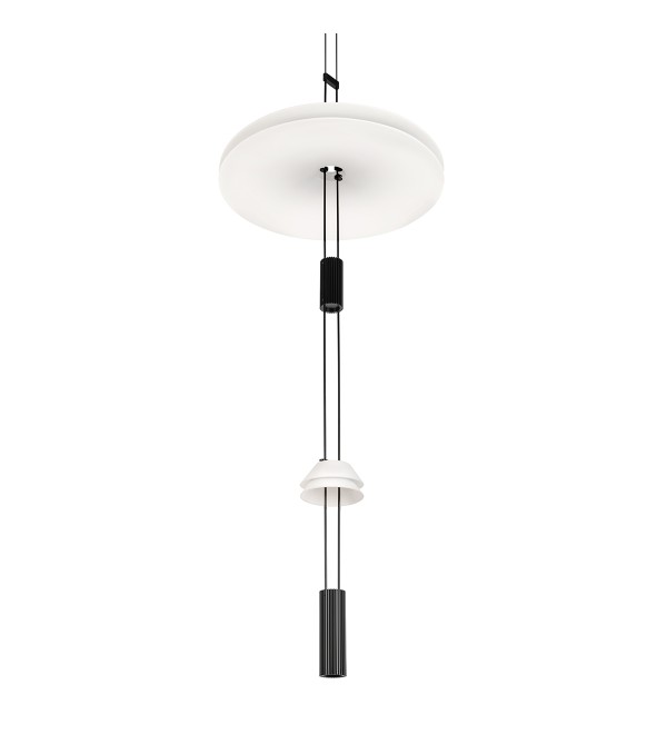 Подвесной светильник LOFT IT Flamingo 10598C