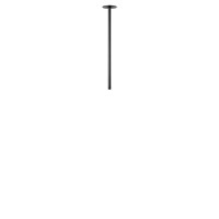 Потолочный светильник LOFT IT Cane 10359/500 Black