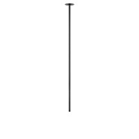 Потолочный светильник LOFT IT Cane 10359/1000 Black