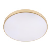 Потолочный светильник LOFT IT Flims 10228/B