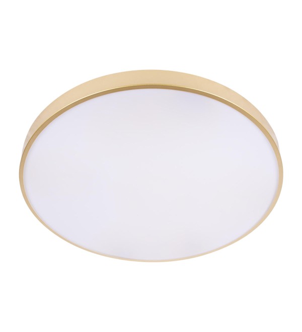 Потолочный светильник LOFT IT Flims 10228/B