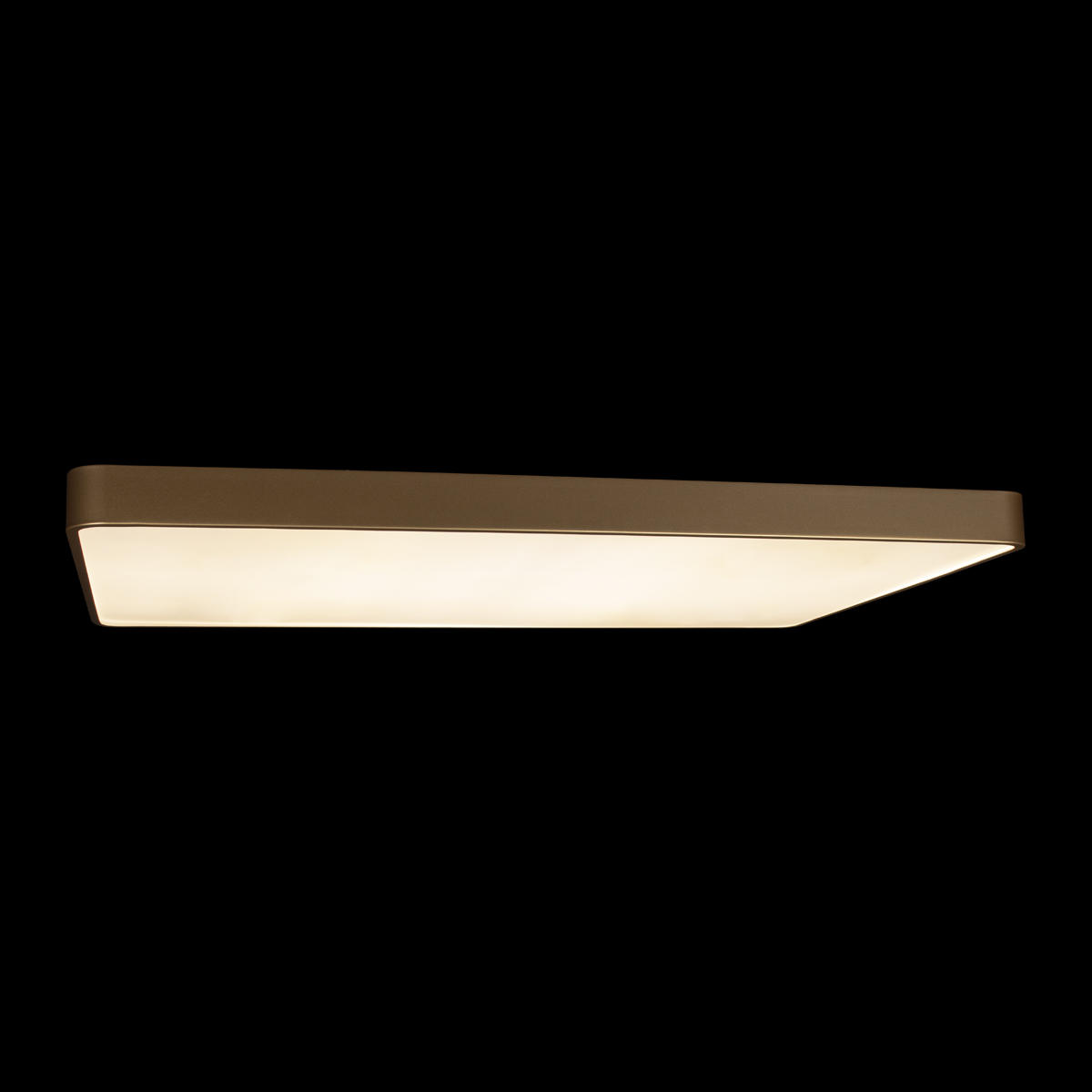 Потолочный светильник LOFT IT Flims 10228/E