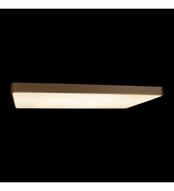 Потолочный светильник LOFT IT Flims 10228/E