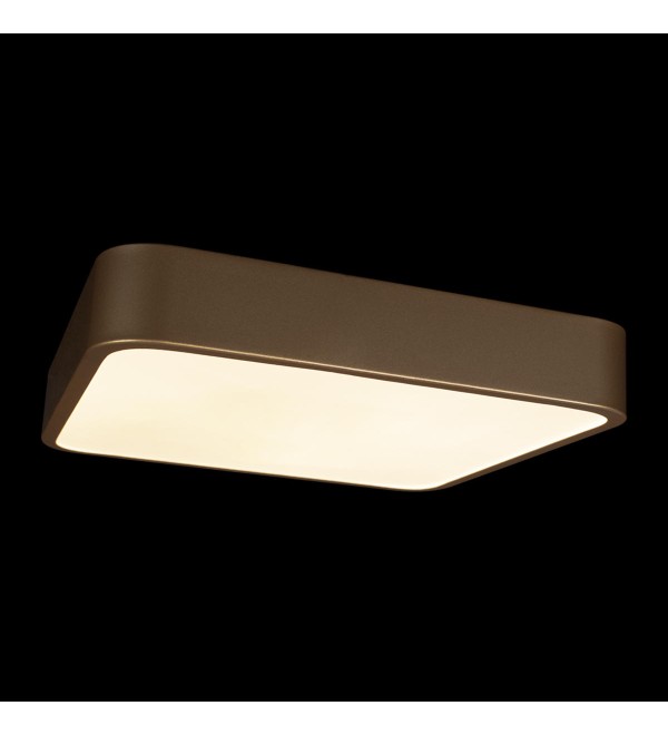 Потолочный светильник LOFT IT Flims 10228/C