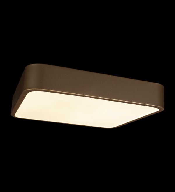 Потолочный светильник LOFT IT Flims 10228/C