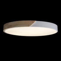 Потолочный светильник LOFT IT Axel 10004/36 White