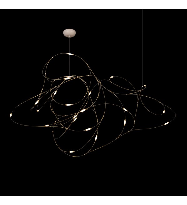 Подвесной светильник LOFT IT Flock of Light 10309/21