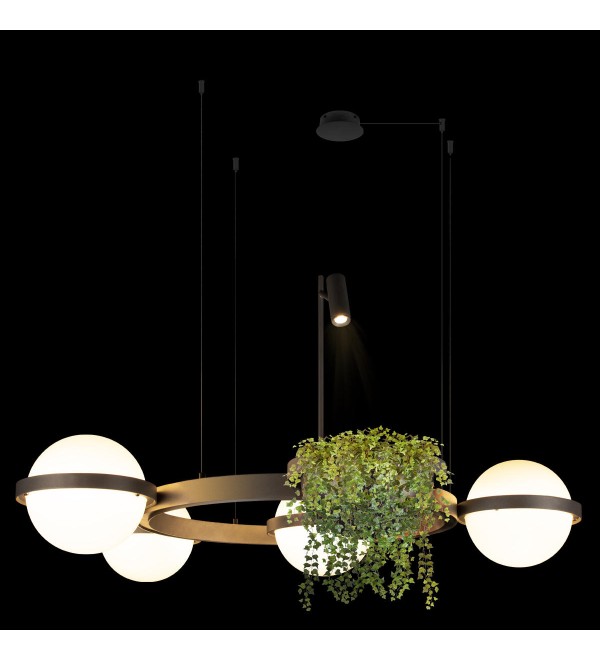 Подвесной светильник LOFT IT Jardin 10121/4 Dark grey