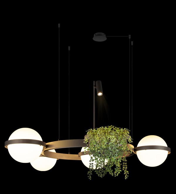 Подвесной светильник LOFT IT Jardin 10121/4 Dark grey