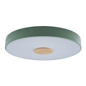 Потолочный светильник LOFT IT Axel 10003/24 Green