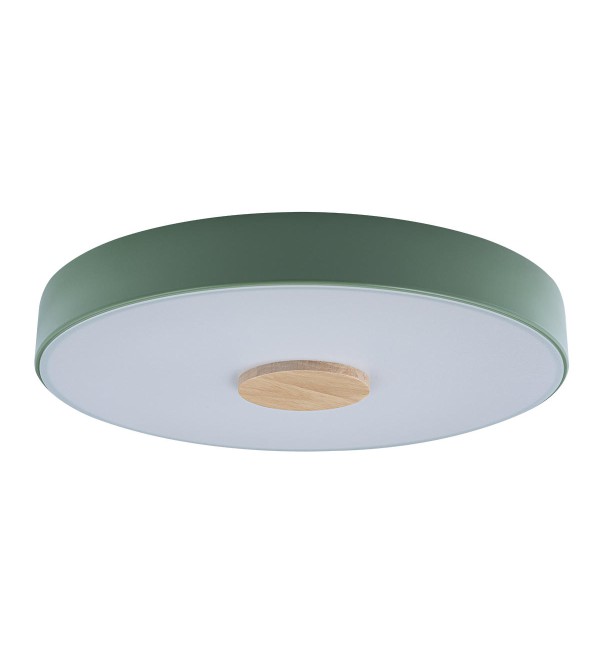 Потолочный светильник LOFT IT Axel 10003/24 Green
