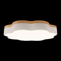 Потолочный светильник LOFT IT Axel 10225/36 White