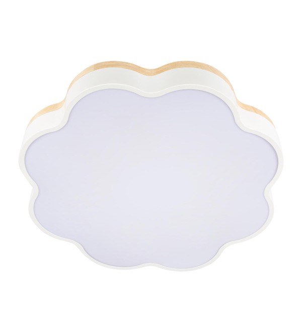 Потолочный светильник LOFT IT Axel 10225/36 White