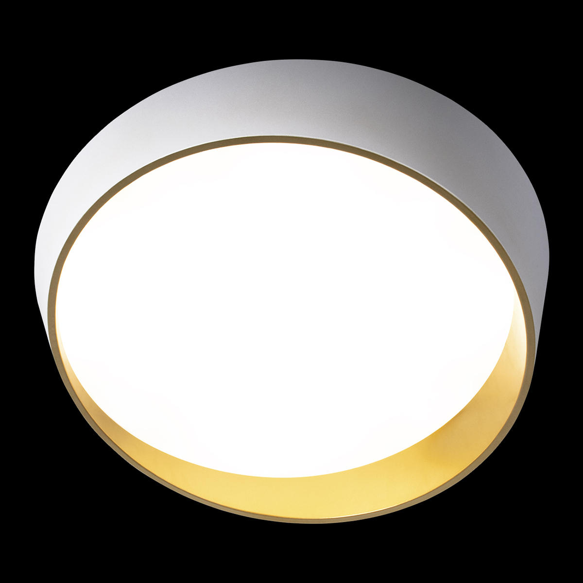 Потолочный светильник LOFT IT Coin 10199 White