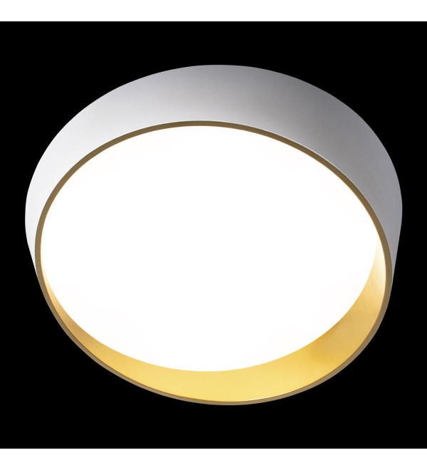 Потолочный светильник LOFT IT Coin 10199 White